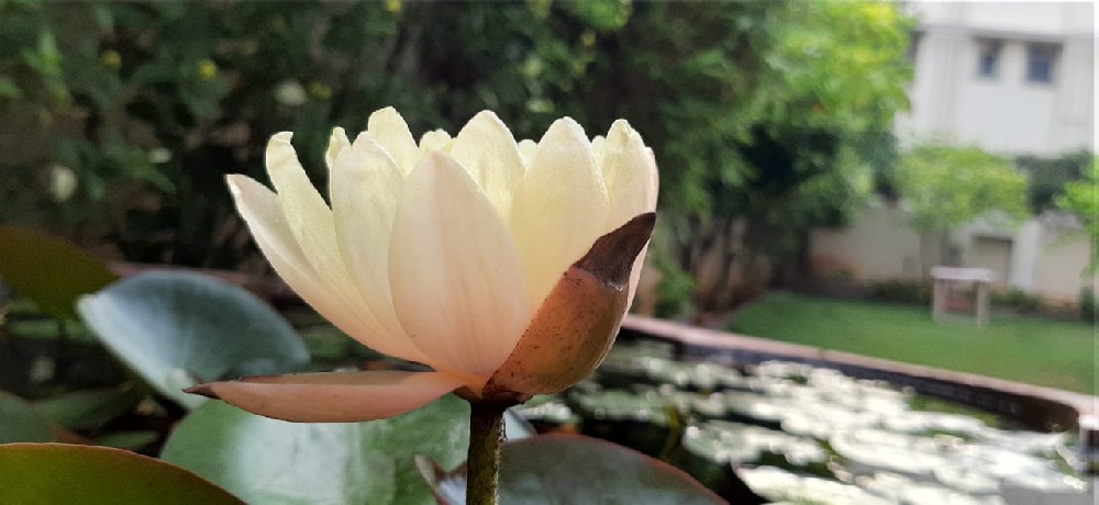 德州冠魯深孔鉆床，高品質(zhì)深孔機床，獲客戶認(rèn)可
